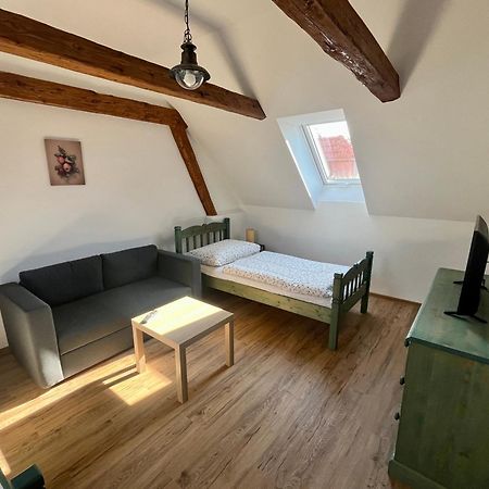 Apartmany Statek Bezdedice Hostomice Bagian luar foto