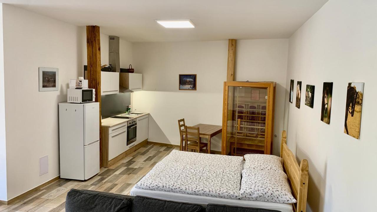 Apartmany Statek Bezdedice Hostomice Bagian luar foto