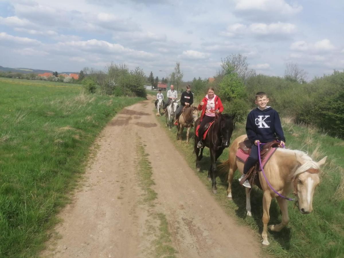Apartmany Statek Bezdedice Hostomice Bagian luar foto