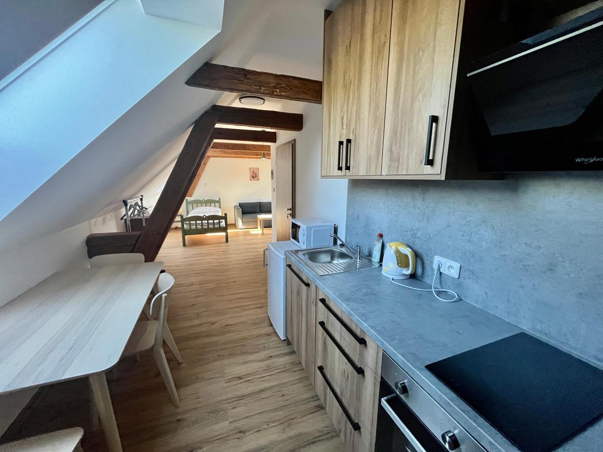 Apartmany Statek Bezdedice Hostomice Bagian luar foto